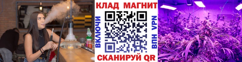 Виды наркотиков купить Закаменск A PVP  КОКАИН  Мефедрон  БУТИРАТ  Гашиш  МАРИХУАНА  АМФЕТАМИН 